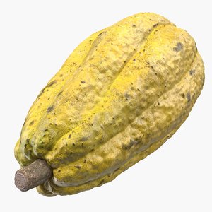 yellow cocoa fruit 3D model
