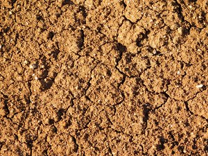 dry land texture