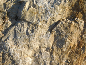 marble texture