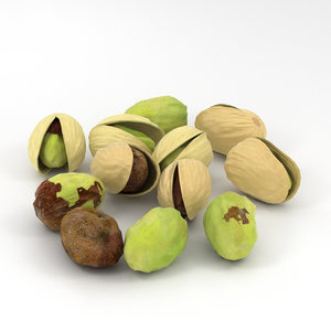 nut food 3D model