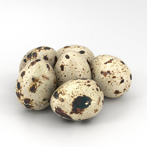 quail egg 3D