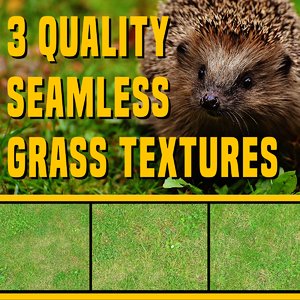 Grass Pack (3 Quality Seamless Textures)