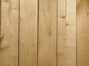 wood texture