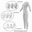 human female male bodies 3D model