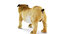 dog bulldog 3D model