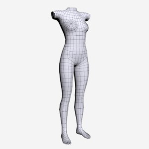 3D female torso