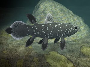 3D deep fish coelacanth rigged