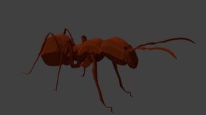 3D ant insects animals model