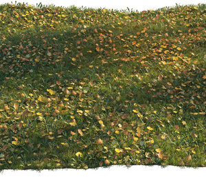 grass maple leaves 3D