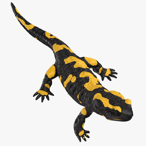 3D model salamander standing