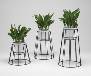 ok design cibele plant 3D