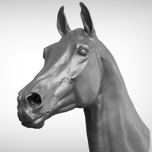 race horse head v2 3D model