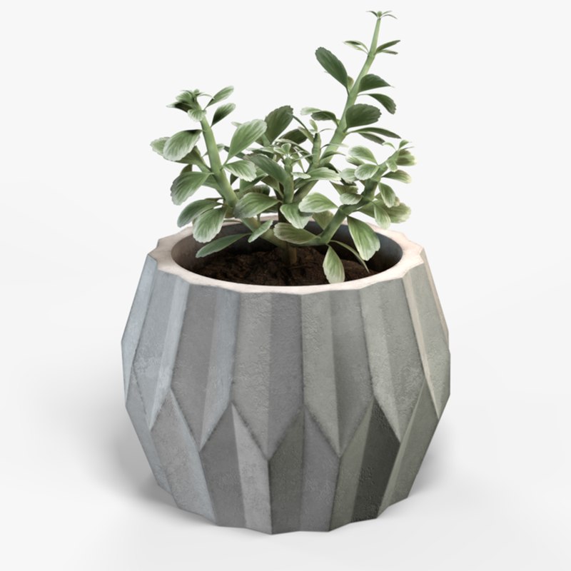 Plant geometric pot 3D model TurboSquid 1376171