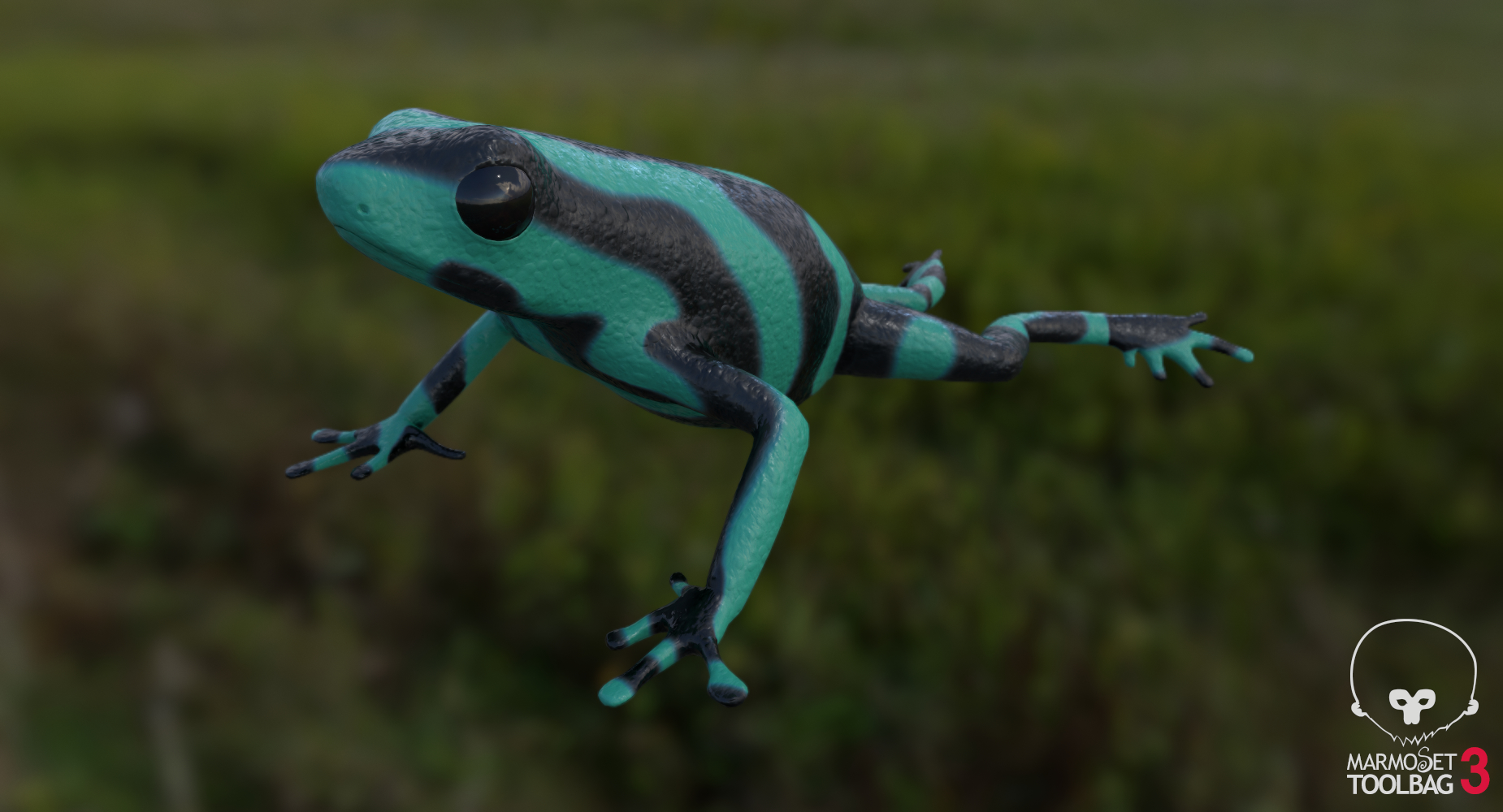 green poison dart frog 3d model
