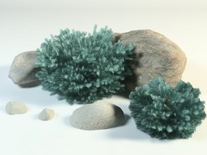 3D model blue spruce