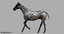 horse rigged 3D model