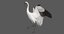 rigged whooping crane 3D model