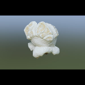 3D popcorn food snack model