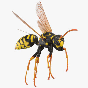 3D paper wasp flying