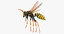 paper wasp rigged 3D model