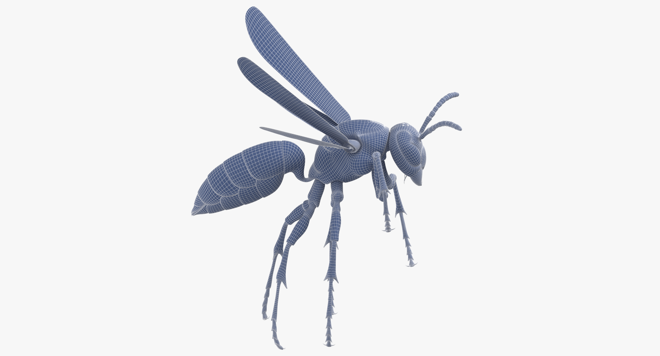 Paper wasp rigged 3D model TurboSquid 1367389