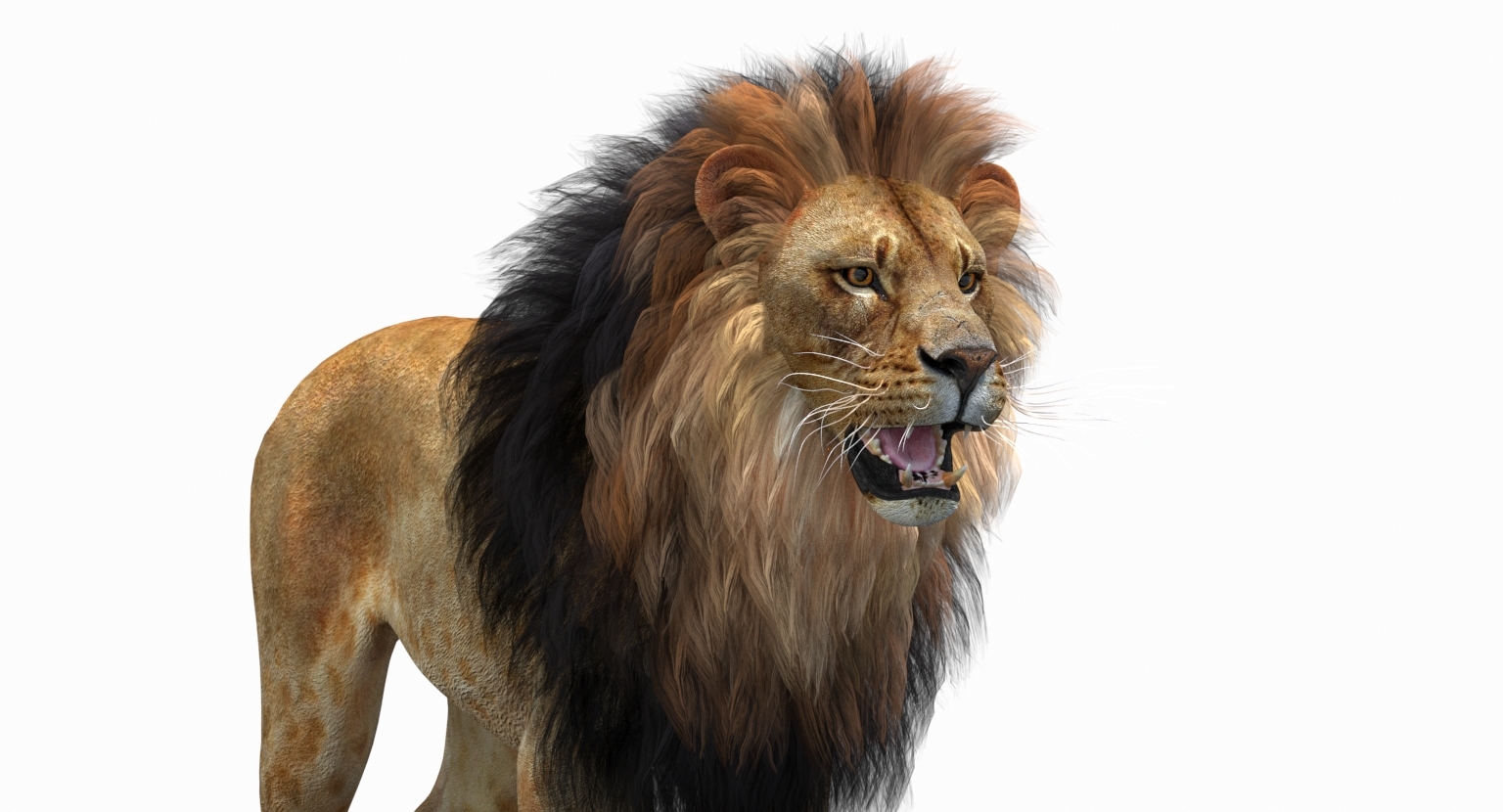 3d lion 2 polygonal mane