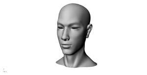 3D realistic white male head