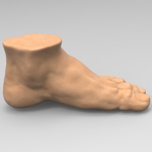 foot 3D model