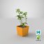 3D mint herb model