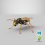 paper wasp standing model