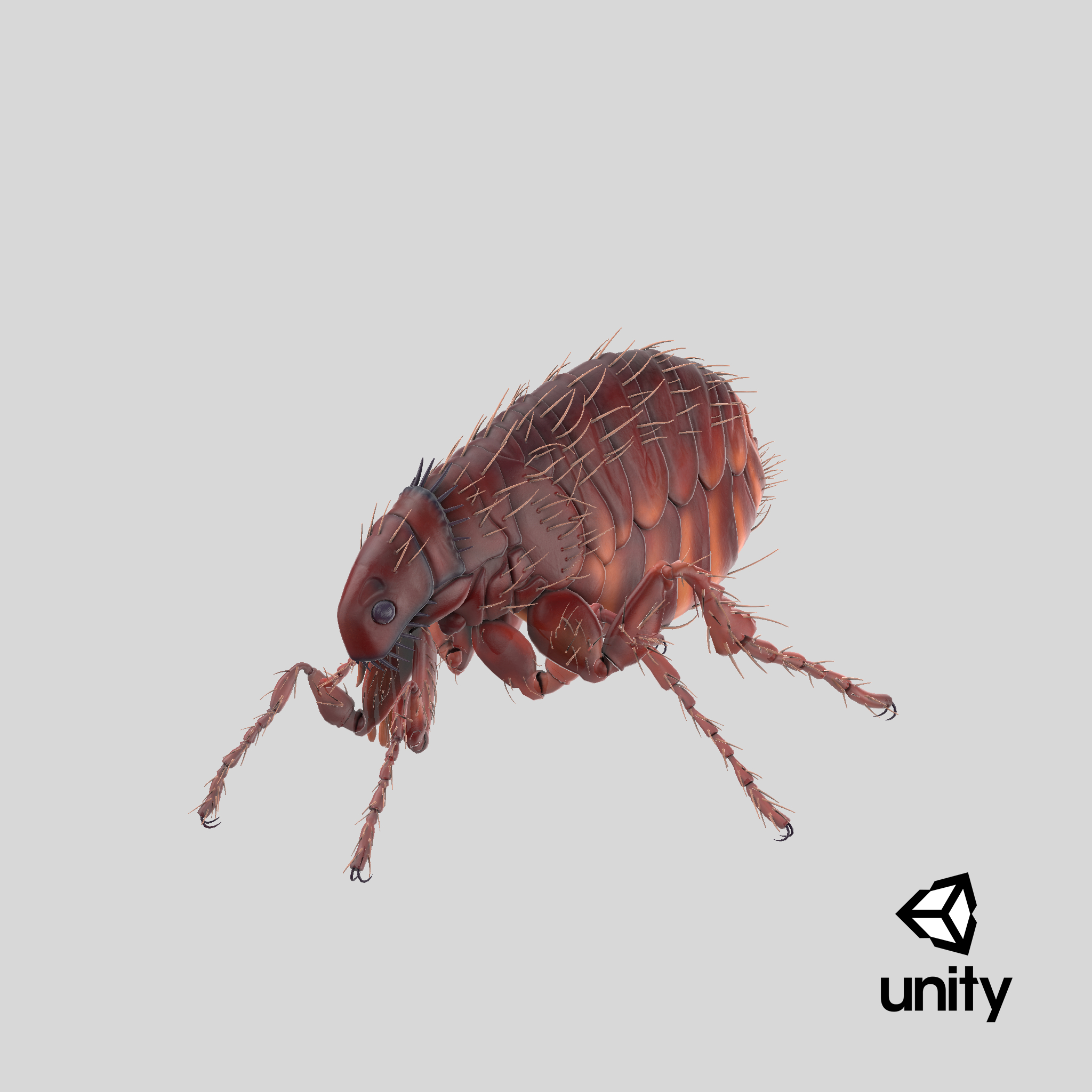 3d flea standing