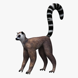 lemur 3ds