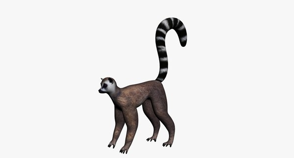 lemur figure