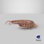 centipede coiled 3D model