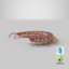 centipede coiled 3D model