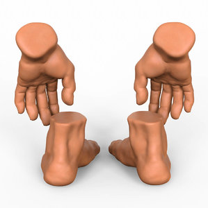 3D hand foot combo model