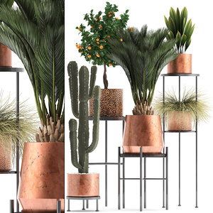potted plants copper 3D model