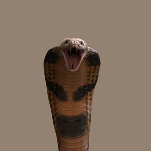 snake realistic 3D