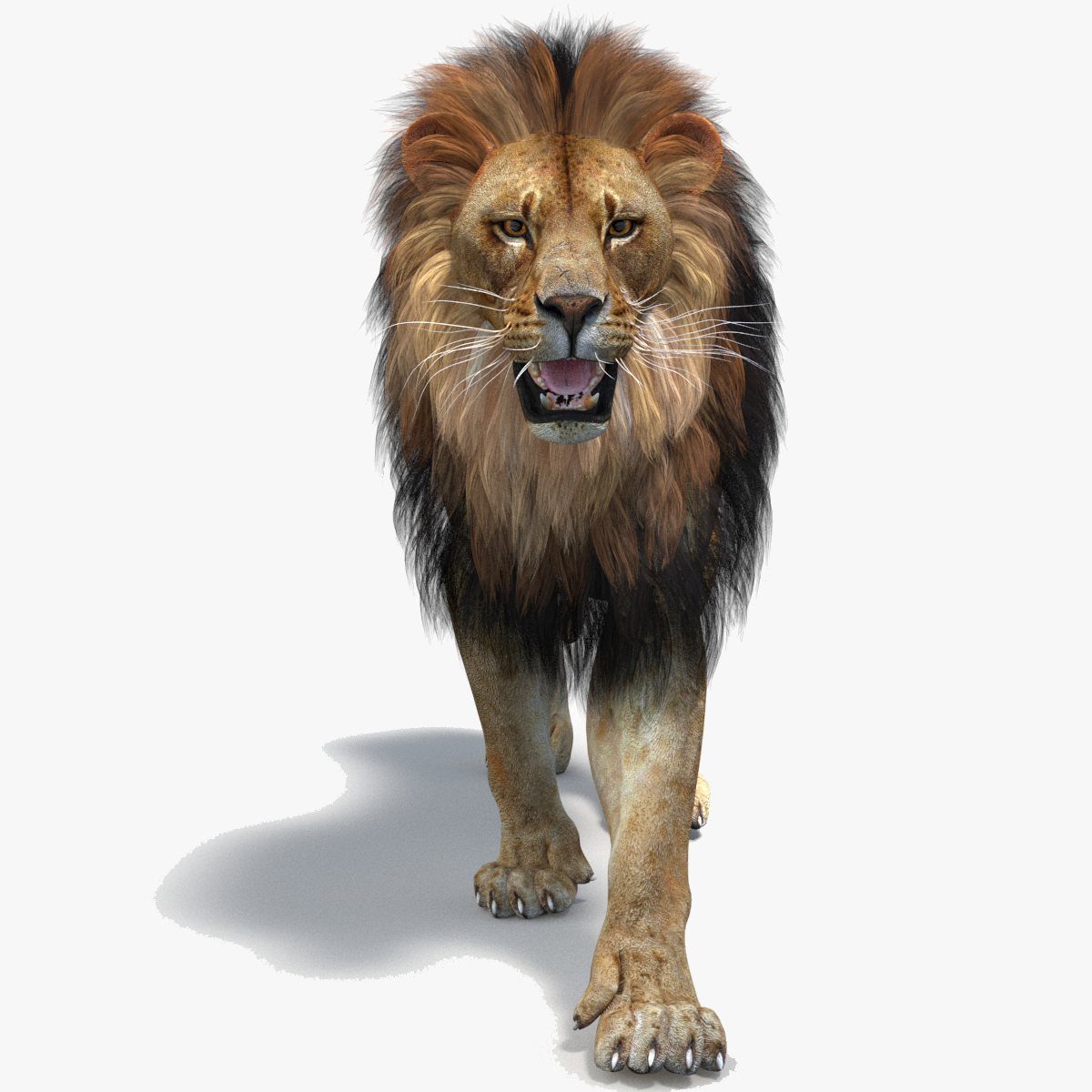 Modele 3d De Lion 2 Anime Criniere Polygonale Turbosquid