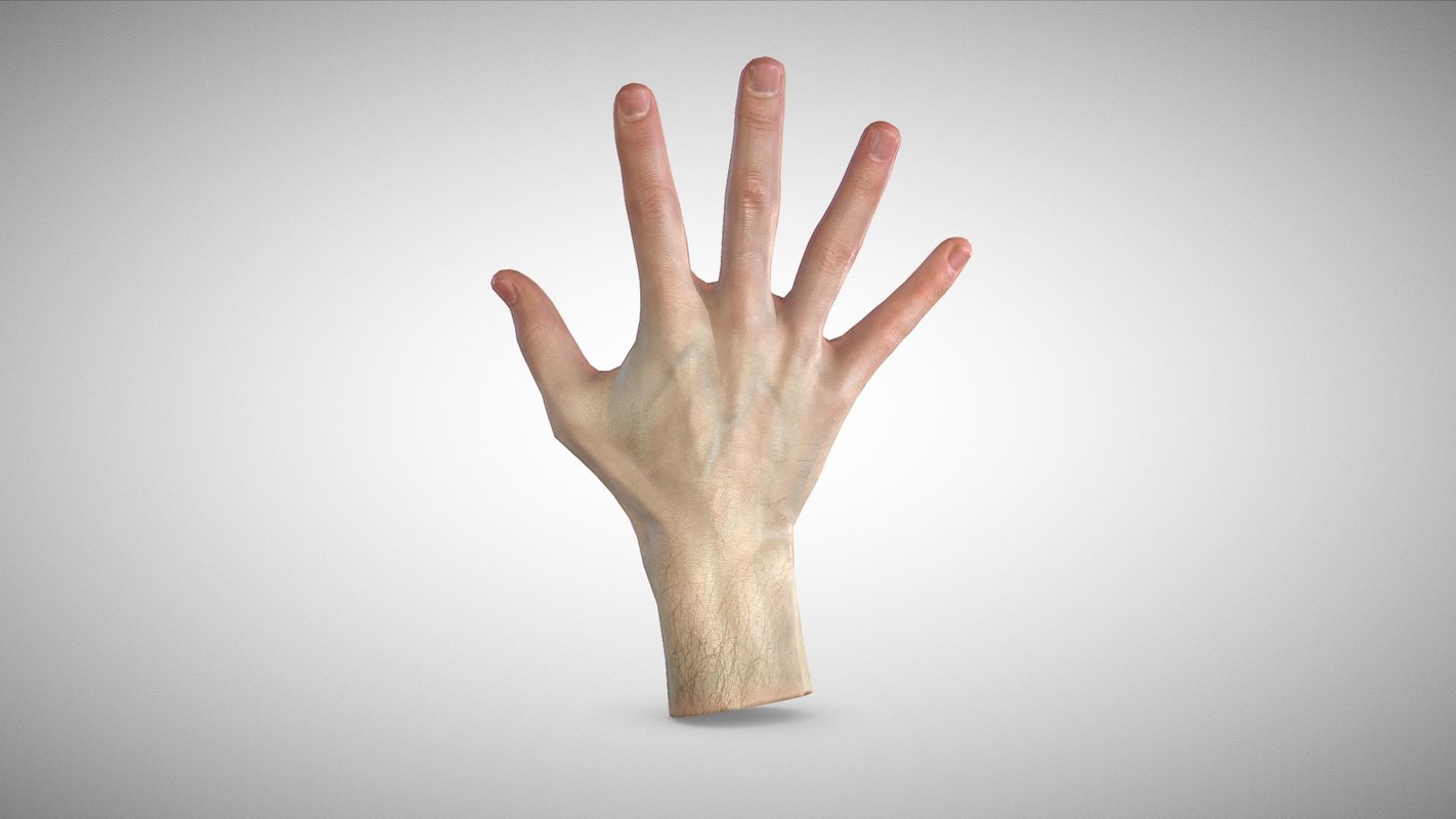 Scan hand 3D model - TurboSquid 1379311