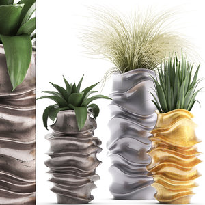 3D plants exotic model