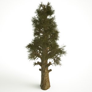 3D big old tree