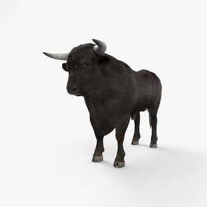 3D model cow bull toro