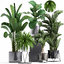3D plants exotic