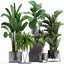 3D plants exotic