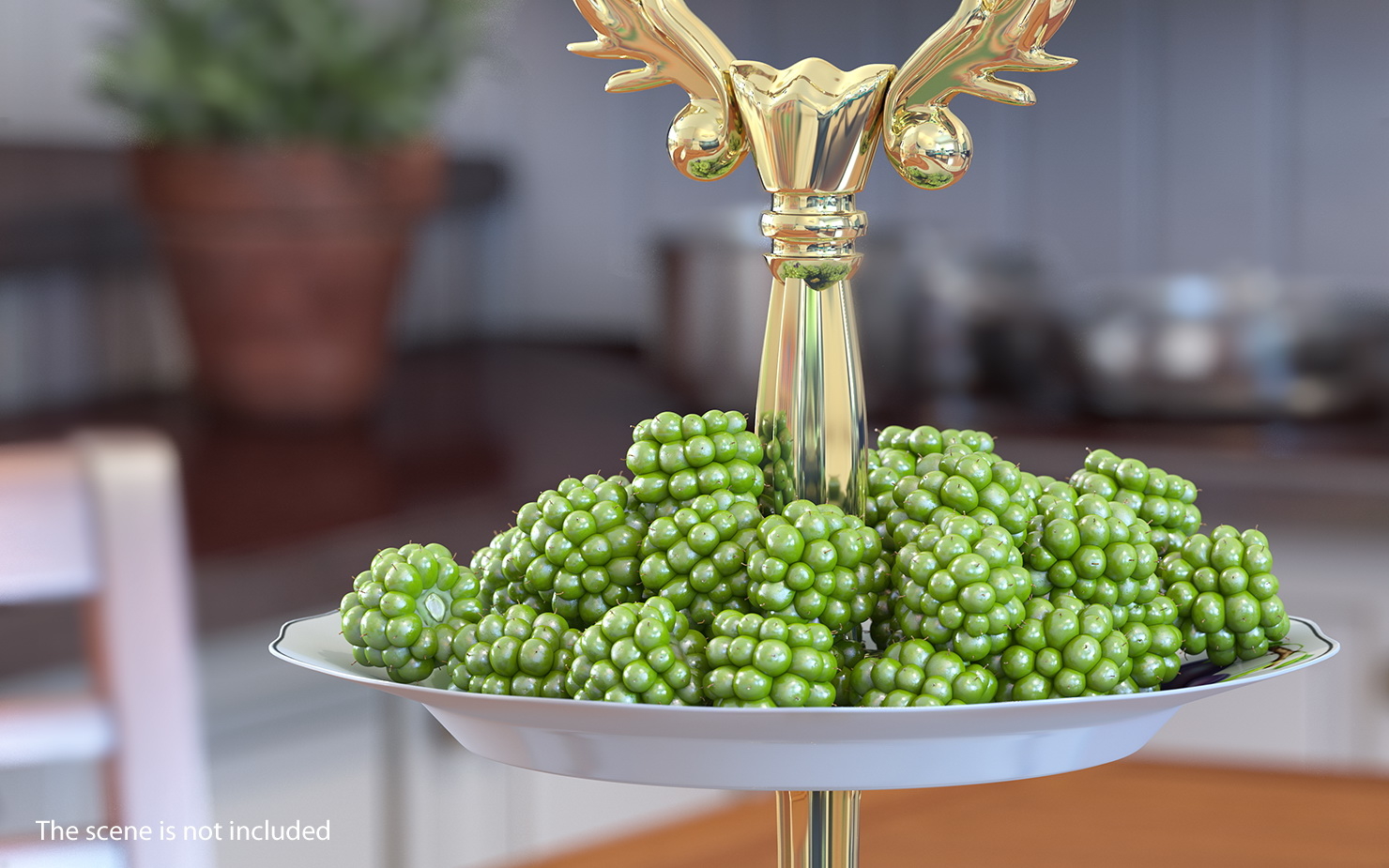 unripe green blackberry fruit 3d model