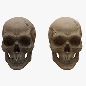 3D cartoon skull
