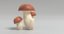 3D porcini mushroom model