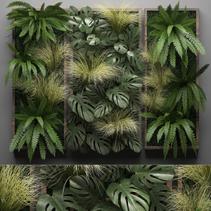 3D vertical gardening wall fern