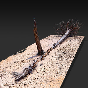 3D desert tree fallen 03 model